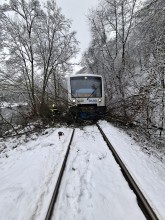 Einsatzfoto WhatsApp Bild 2025-01-09 um 16.03.04_677510bd.jpg