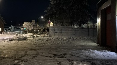 Einsatzfoto WhatsApp Bild 2025-01-09 um 18.04.00_8d7ae57f.jpg