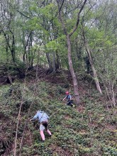 Einsatzfoto XufiS8ntQ6C-Bi9z_H-NjA.jpg