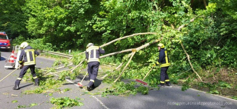 Einsatzfoto baum1.jpg