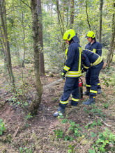 Einsatzfoto WhatsApp Bild 2025-07-12 um 17.30.36_21a7fe6b.jpg