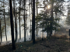 Einsatzfoto WhatsApp Bild 2025-08-19 um 23.42.34_4e42f541.jpg