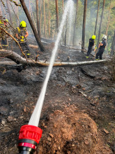 Einsatzfoto WhatsApp Bild 2025-08-19 um 23.42.46_2fe89659.jpg