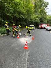 Einsatzfoto WhatsApp Bild 2025-08-23 um 13.09.55_8d00bf40.jpg